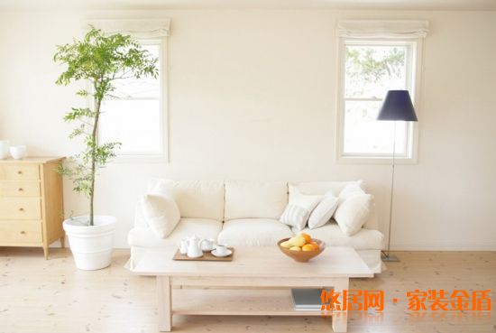 室內(nèi)盆栽要擺對位置