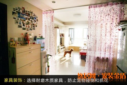 家有愛寵裝修小竅門