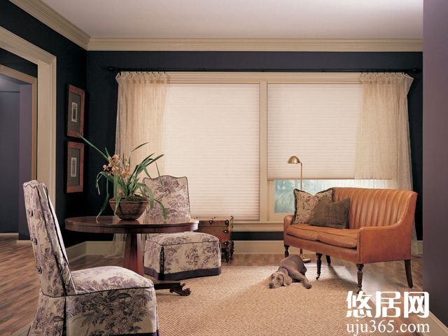 風(fēng)琴簾裝修效果圖